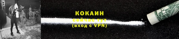 ГАЛЛЮЦИНОГЕННЫЕ ГРИБЫ Сосновка