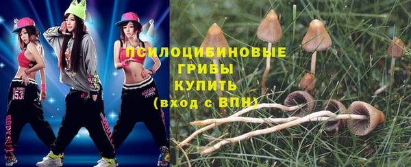 ГАЛЛЮЦИНОГЕННЫЕ ГРИБЫ Сосновка