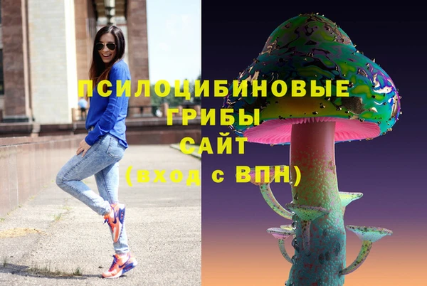 ГАЛЛЮЦИНОГЕННЫЕ ГРИБЫ Сосновка