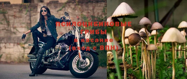 ГАЛЛЮЦИНОГЕННЫЕ ГРИБЫ Сосновка