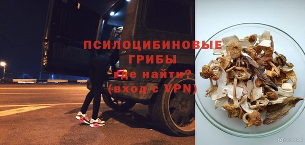 крисы Каменка