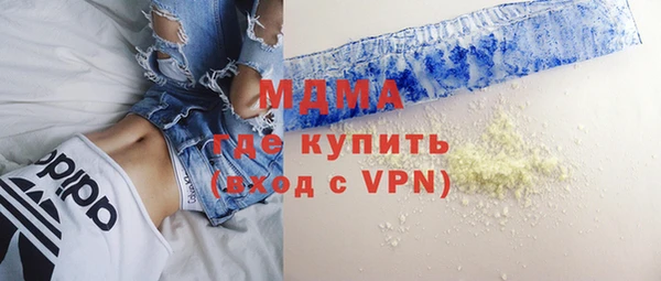 spice Инта