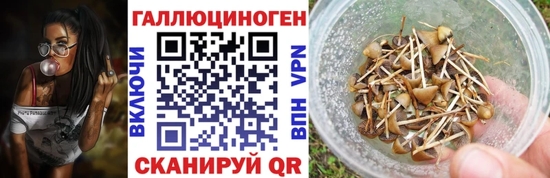 Псилоцибиновые грибы прущие грибы  OMG маркетплейс  мориарти клад  Сураж 
