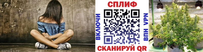 Канабис OG Kush Сураж